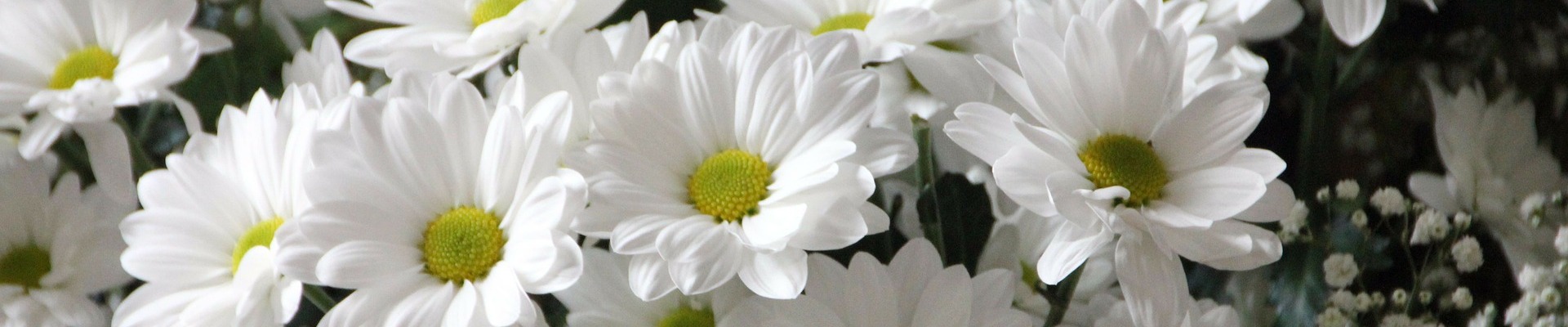 flowers400.jpg