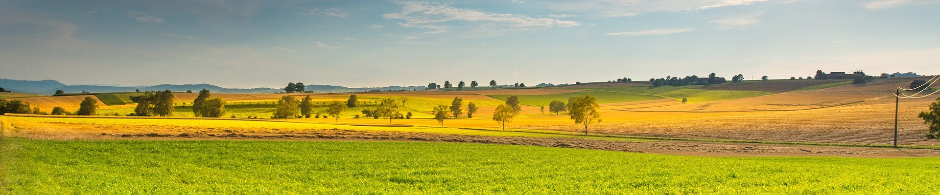 landscape400.jpg
